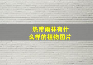 热带雨林有什么样的植物图片