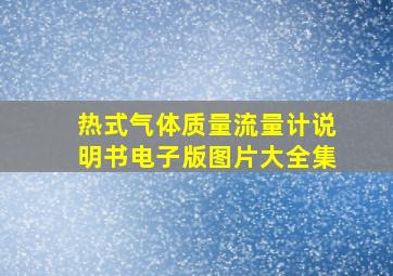 热式气体质量流量计说明书电子版图片大全集