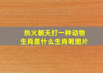 热火朝天打一种动物生肖是什么生肖呢图片