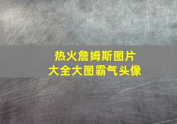 热火詹姆斯图片大全大图霸气头像