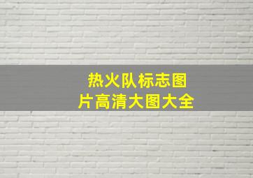 热火队标志图片高清大图大全