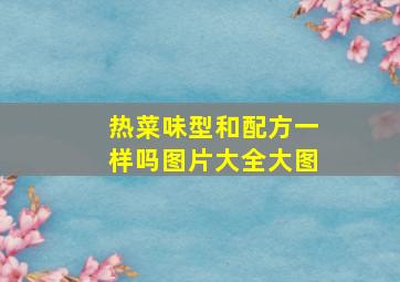 热菜味型和配方一样吗图片大全大图