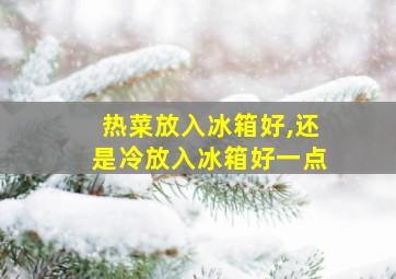 热菜放入冰箱好,还是冷放入冰箱好一点