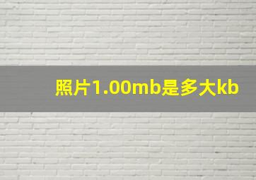 照片1.00mb是多大kb