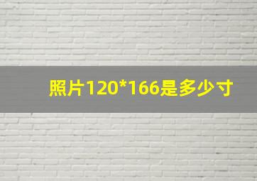 照片120*166是多少寸