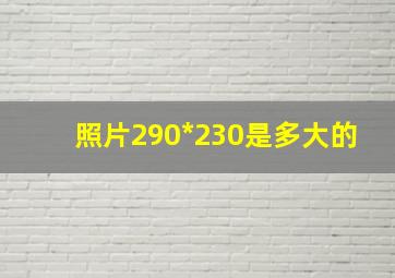 照片290*230是多大的