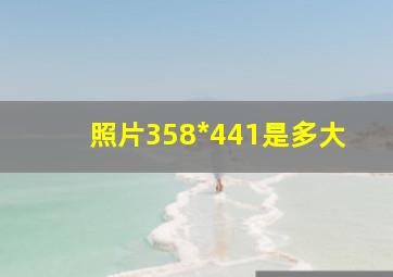 照片358*441是多大