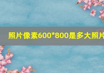 照片像素600*800是多大照片