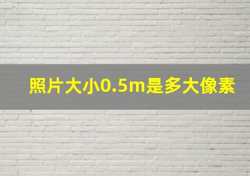 照片大小0.5m是多大像素