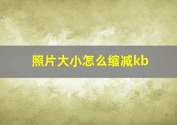 照片大小怎么缩减kb