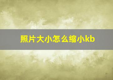 照片大小怎么缩小kb