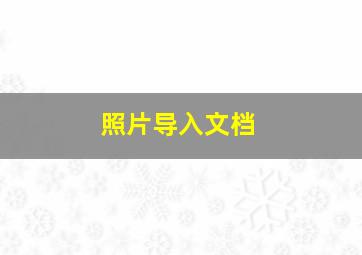 照片导入文档