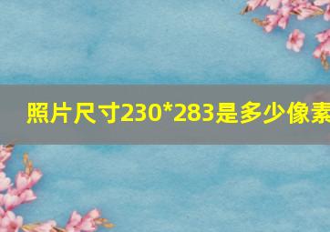 照片尺寸230*283是多少像素