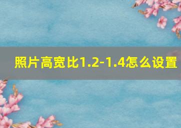 照片高宽比1.2-1.4怎么设置