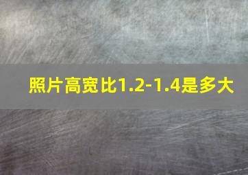 照片高宽比1.2-1.4是多大