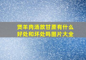 煲羊肉汤放甘蔗有什么好处和坏处吗图片大全