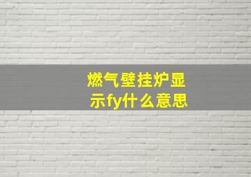 燃气壁挂炉显示fy什么意思