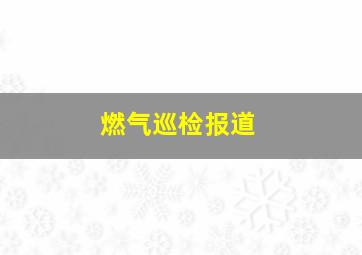 燃气巡检报道