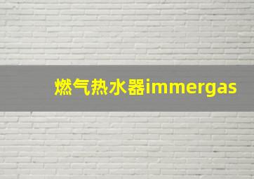 燃气热水器immergas