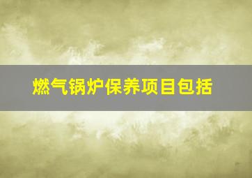 燃气锅炉保养项目包括