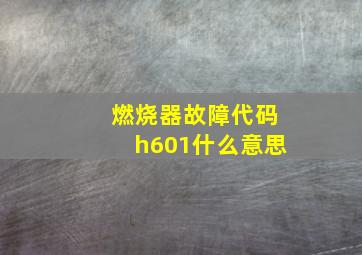 燃烧器故障代码h601什么意思