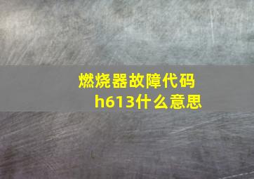 燃烧器故障代码h613什么意思