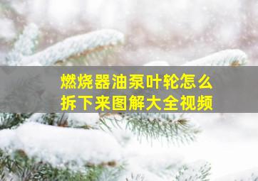 燃烧器油泵叶轮怎么拆下来图解大全视频