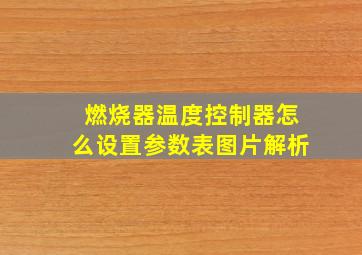 燃烧器温度控制器怎么设置参数表图片解析