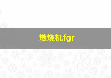 燃烧机fgr