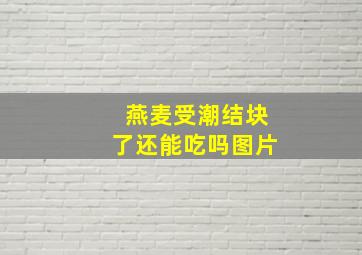 燕麦受潮结块了还能吃吗图片