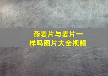 燕麦片与麦片一样吗图片大全视频