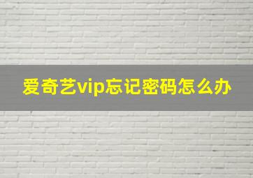 爱奇艺vip忘记密码怎么办