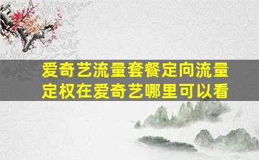 爱奇艺流量套餐定向流量定权在爱奇艺哪里可以看