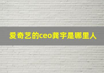 爱奇艺的ceo龚宇是哪里人