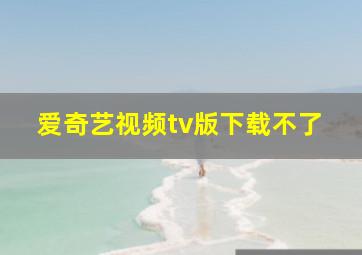 爱奇艺视频tv版下载不了