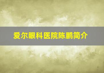 爱尔眼科医院陈鹏简介