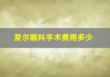 爱尔眼科手术费用多少