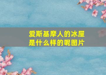 爱斯基摩人的冰屋是什么样的呢图片