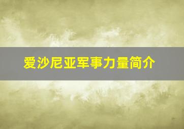 爱沙尼亚军事力量简介