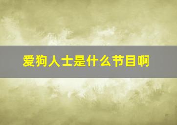 爱狗人士是什么节目啊