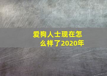 爱狗人士现在怎么样了2020年