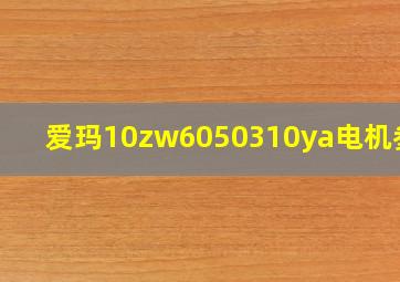 爱玛10zw6050310ya电机参数