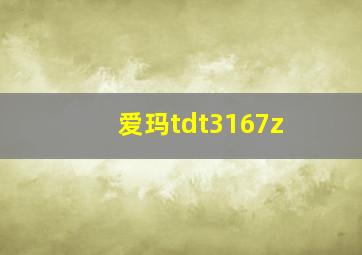 爱玛tdt3167z