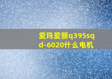 爱玛爱丽q395sqd-6020什么电机