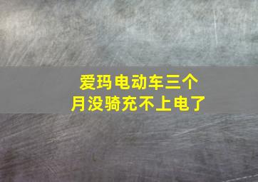 爱玛电动车三个月没骑充不上电了