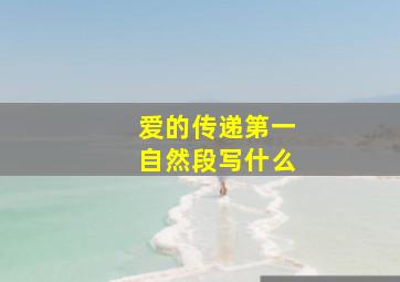 爱的传递第一自然段写什么