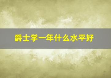 爵士学一年什么水平好