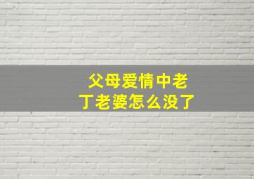 父母爱情中老丁老婆怎么没了