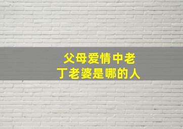 父母爱情中老丁老婆是哪的人