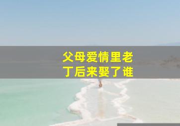 父母爱情里老丁后来娶了谁